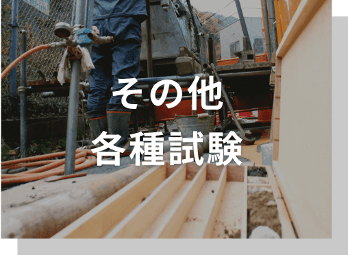 その他
              各種試験